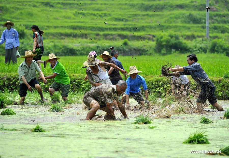 Scenery of stilted houses of Tujia ethnic group