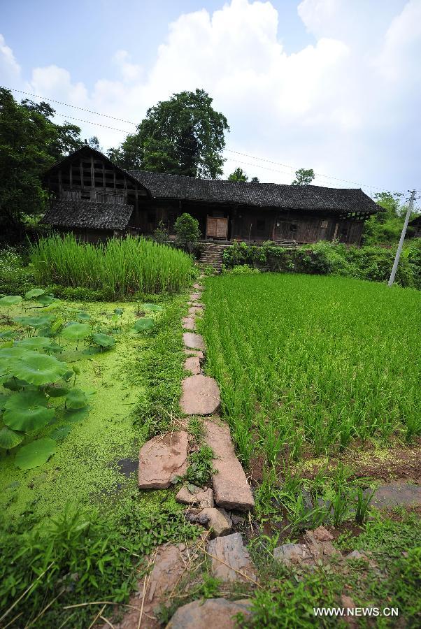 Scenery of stilted houses of Tujia ethnic group