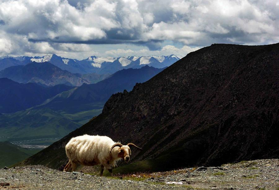 Scenery of Qilian Mountains