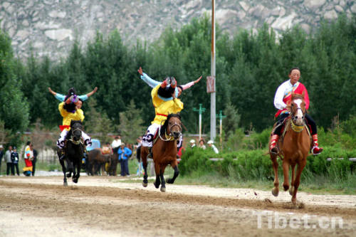 Horse-racing of Shoton Festival in Tibet