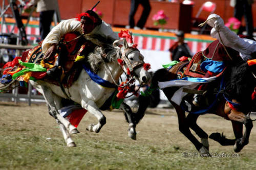 Horse-racing of Shoton Festival in Tibet