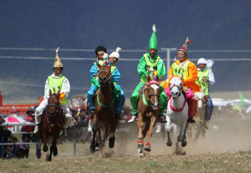 Horse-racing of Shoton Festival in Tibet