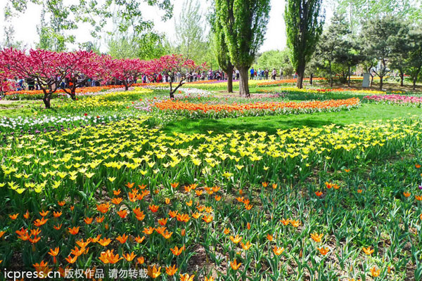 Beijing's top 10 golden week destinations