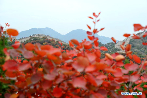 Great Wall surrounded by red leaves