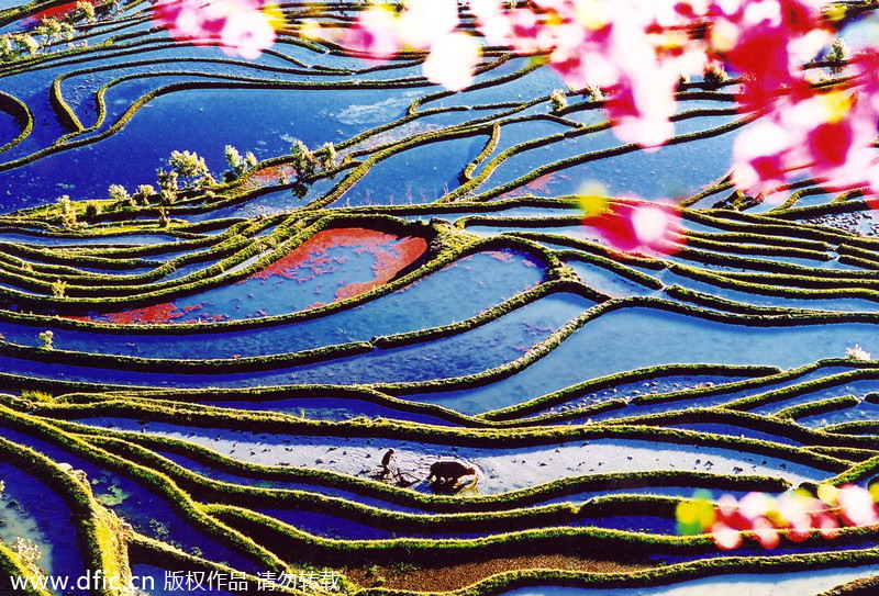 China's top 10 terraces