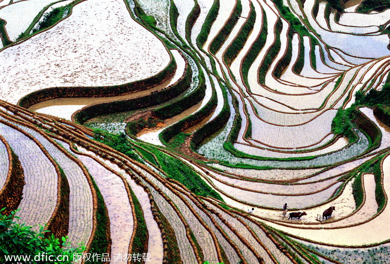 China's top 10 terraces