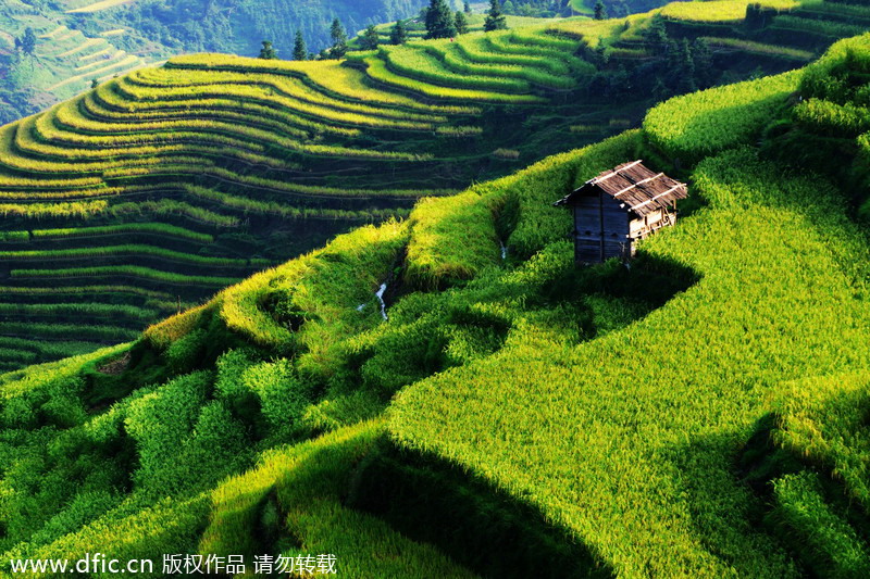 China's top 10 terraces