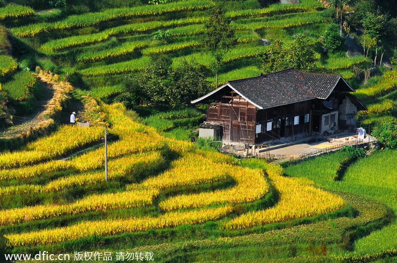 China's top 10 terraces