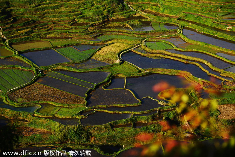 China's top 10 terraces