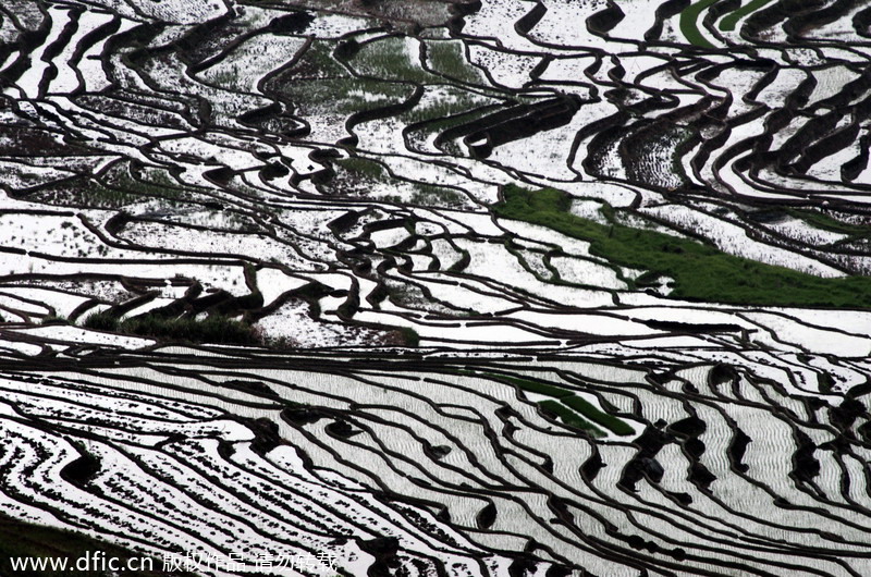 China's top 10 terraces