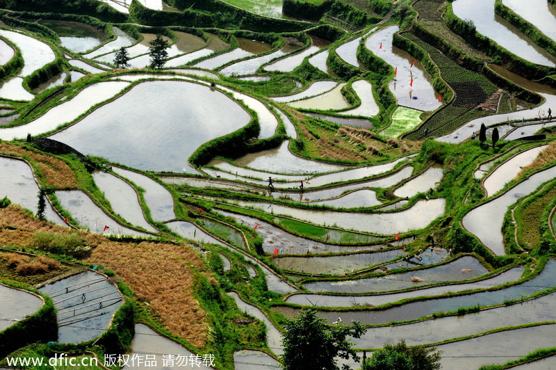 China's top 10 terraces