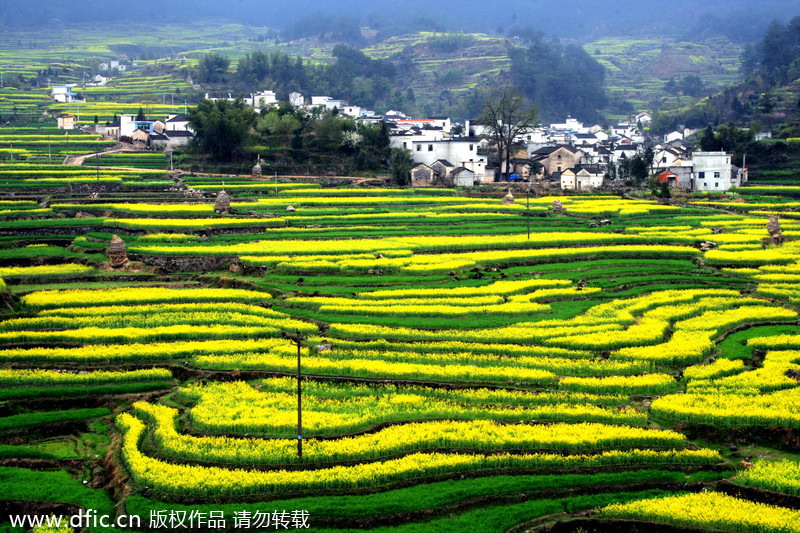 China's top 10 terraces