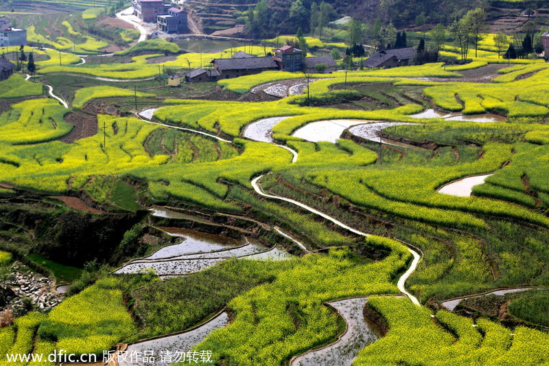 China's top 10 terraces