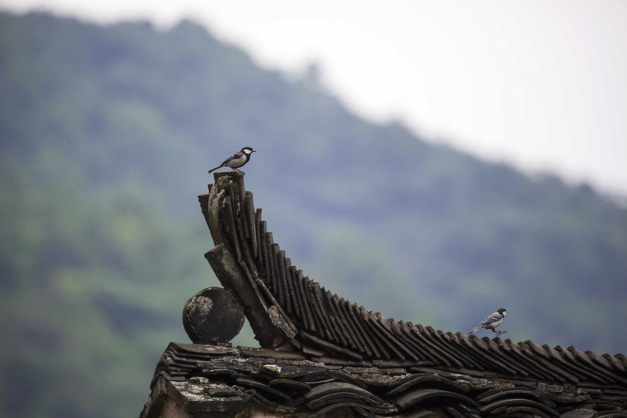 Scenery of Tumuyuan village in China's Jiangxi