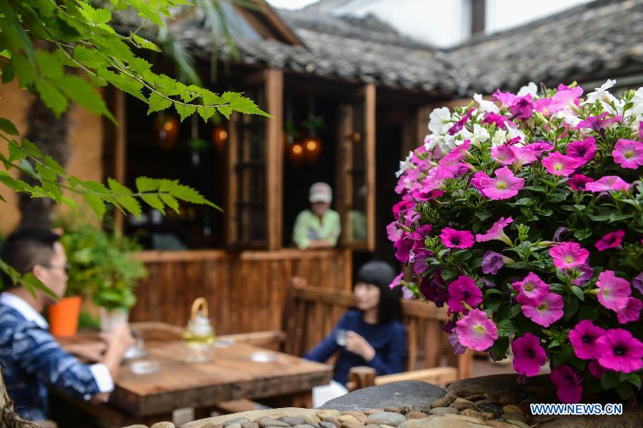 'Swinery tea bar' in China's Zhejiang