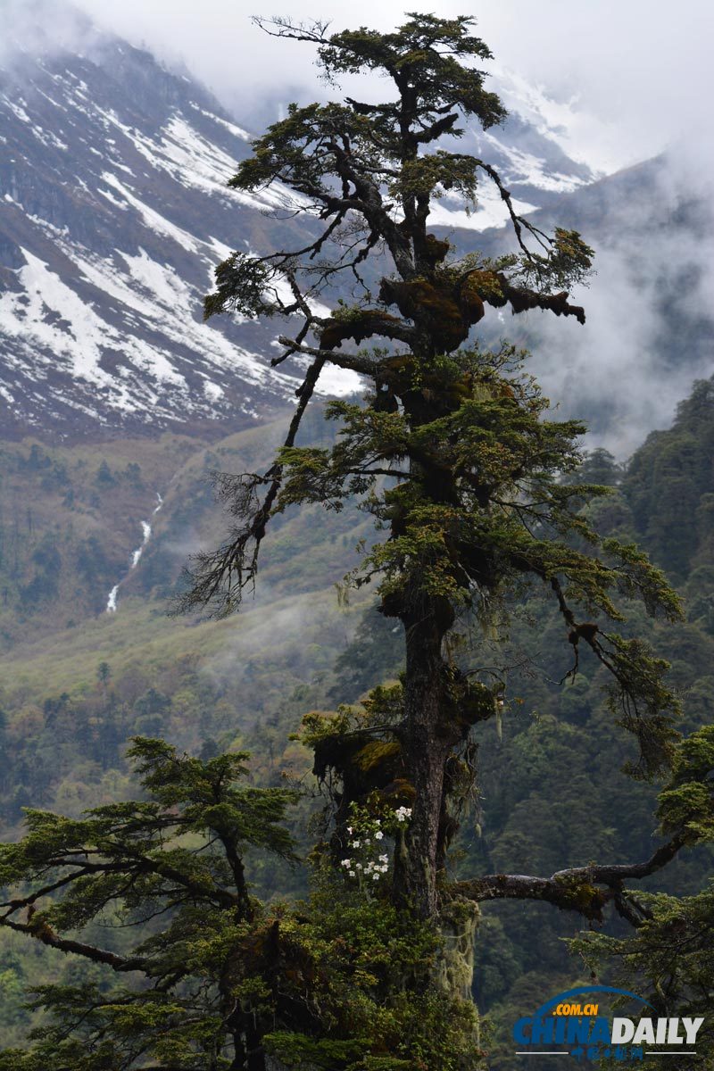 Snapshots of Dulong River Valley