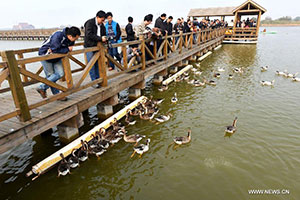 Visitors view sand-washing operation