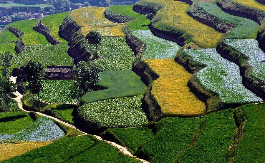 Scenery of terrace fields in Dingxi, NW China