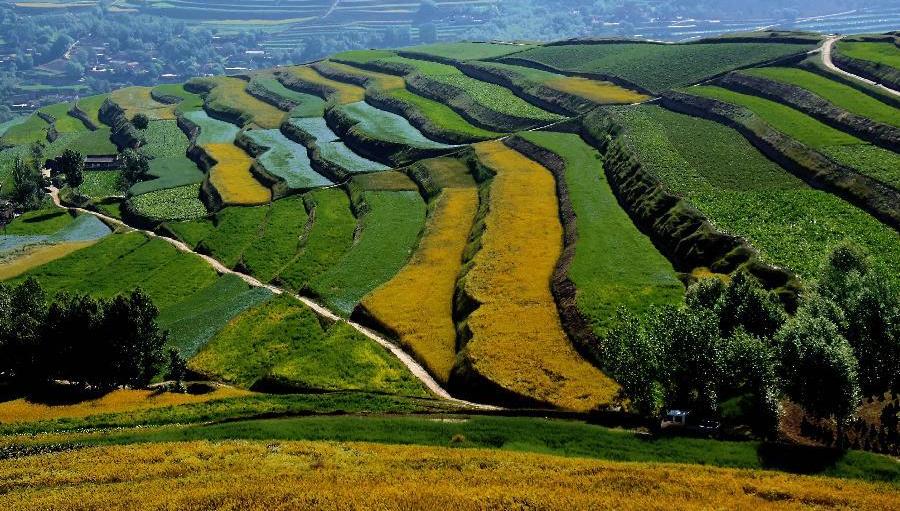 Scenery of terrace fields in Dingxi, NW China