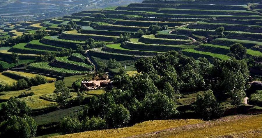 Scenery of terrace fields in Dingxi, NW China