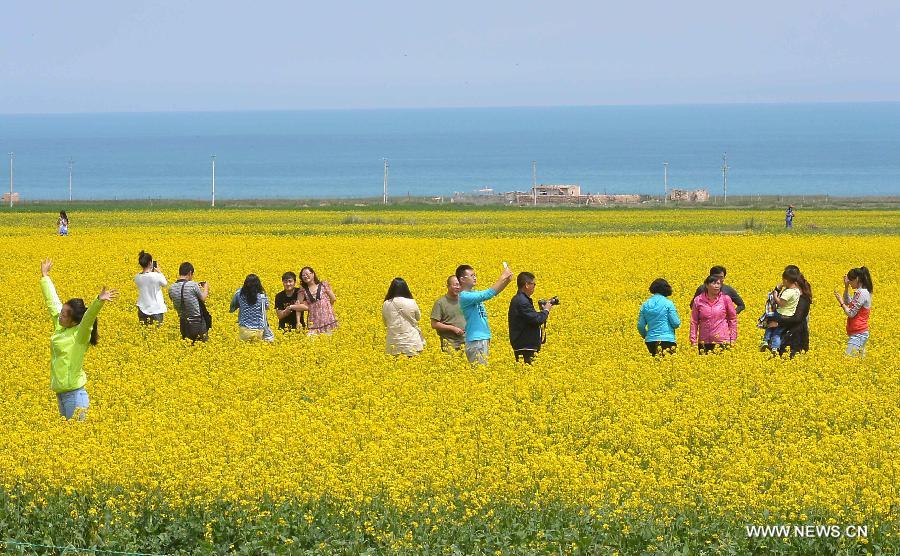 Qinghai embraces golden travel season