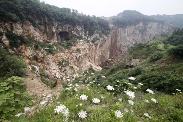 Slow train scheduled for Nanjing national park