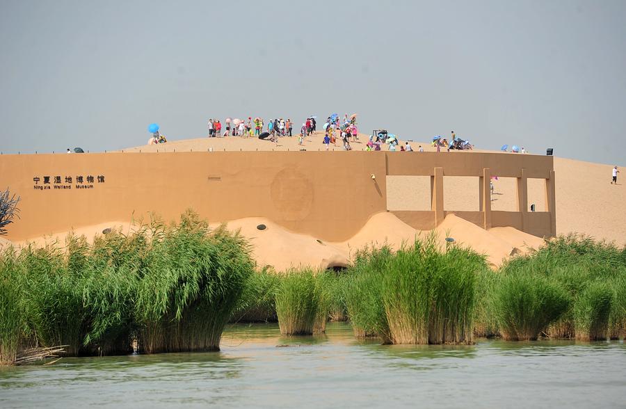 China desert wetlands Shahu Lake welcomes summer peak season