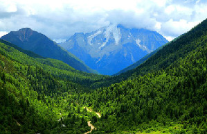 Paddy fields in Guangxi's Baisha village