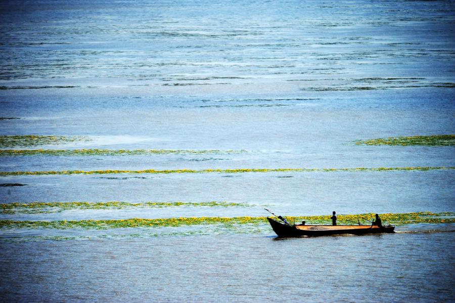 Charming wetland around Khanka Lake