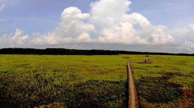 Tourists visit wetland of Honghe National Nature Reserve