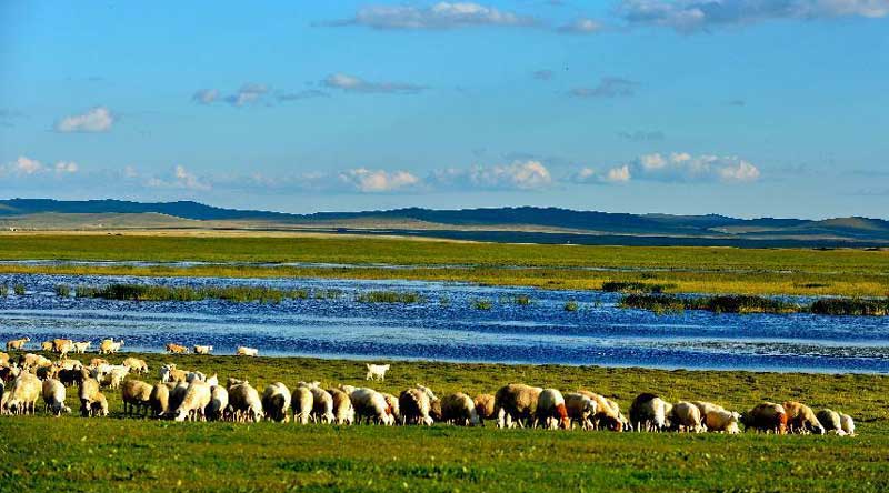 Scenery of Inner Mongolia's Hulun Buir