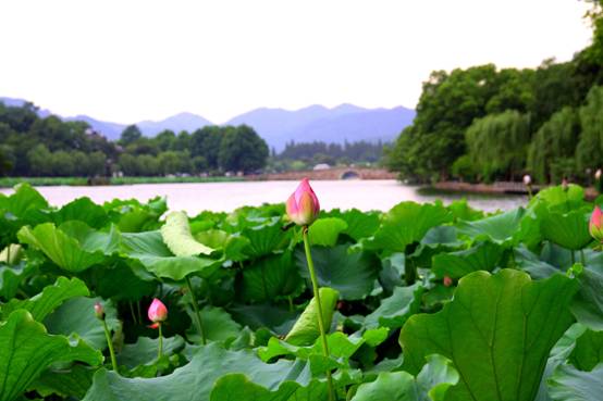 Hangzhou---a city of history