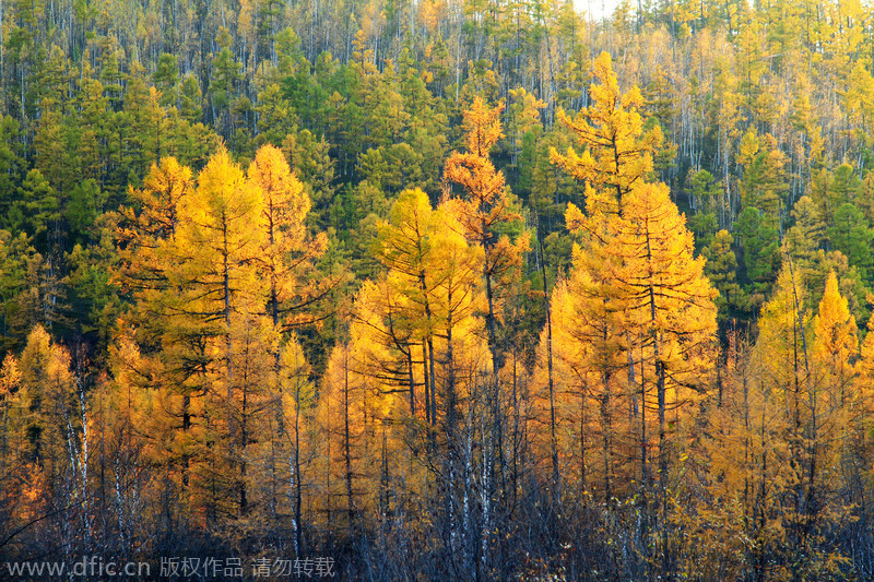 Top destinations in China for autumn photography