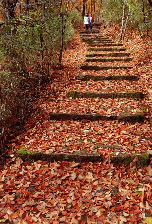 Yunwu Mountain in late autumn