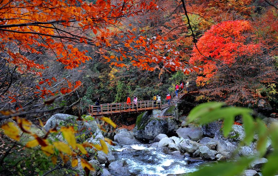 Yunwu Mountain in late autumn