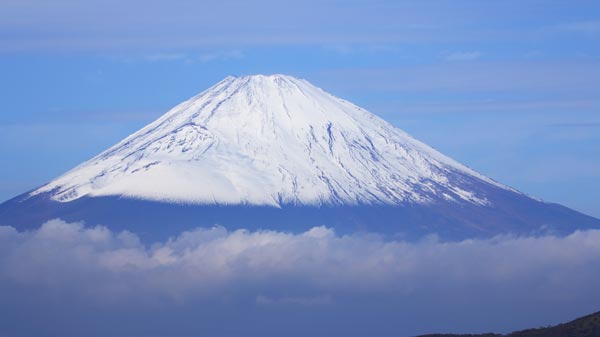 Japan blossoms for Chinese tourists