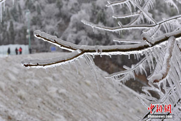 Fairytale-like scenery after freezing rain