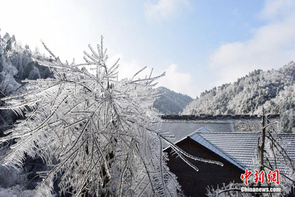 Fairytale-like scenery after freezing rain