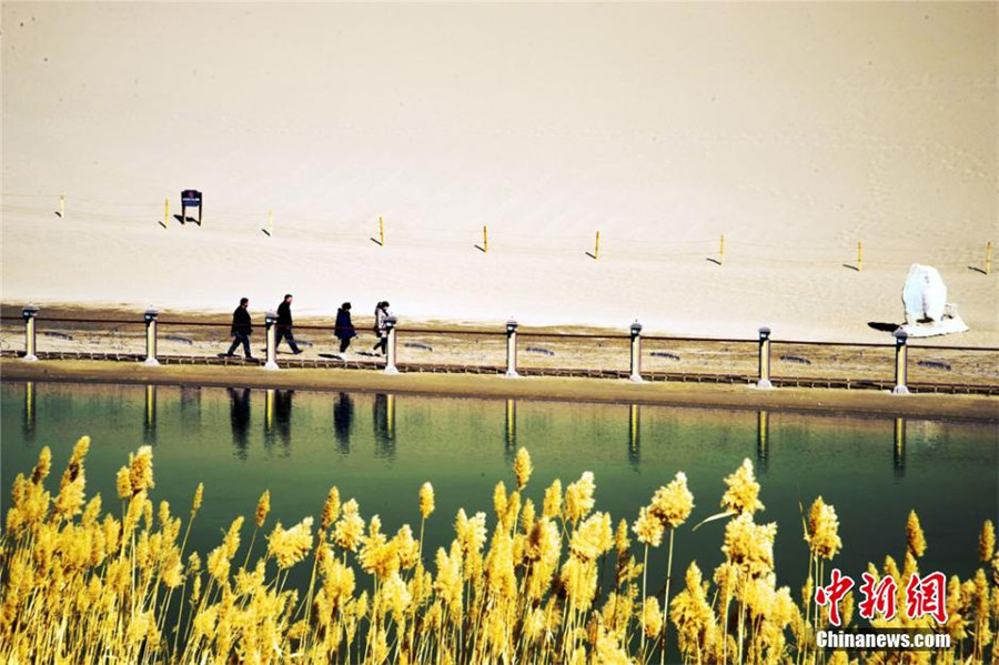 Scenes of spring in Dunhuang