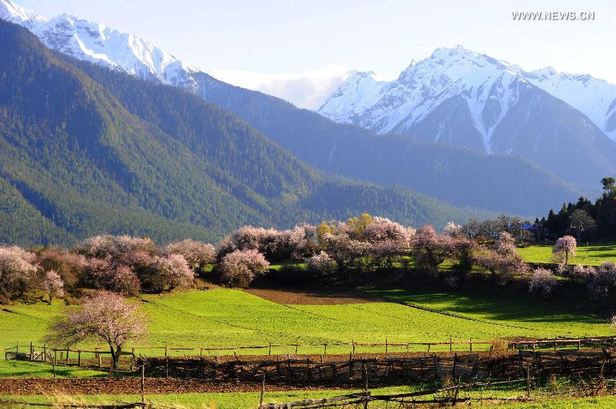 Picturesque spring scenery in Bomi county in Tibet