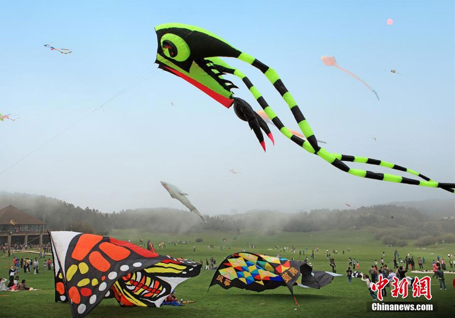 World's longest kite soars in Chongqing