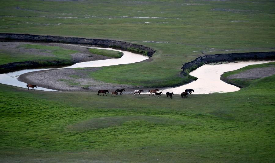 Magnificent prairie scenery in Inner Mongolia