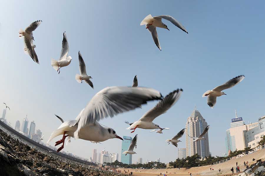 Astronomical tide brings spectacular view to Qingdao