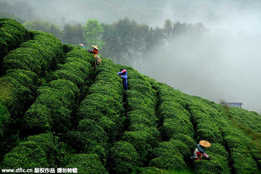 Hezhou in Guangxi, the 1st longevity city in China