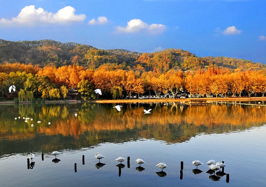 China's most beautiful wetlands