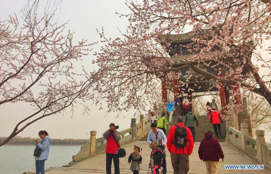 Flowers blossom in Summer Palace in Beijing