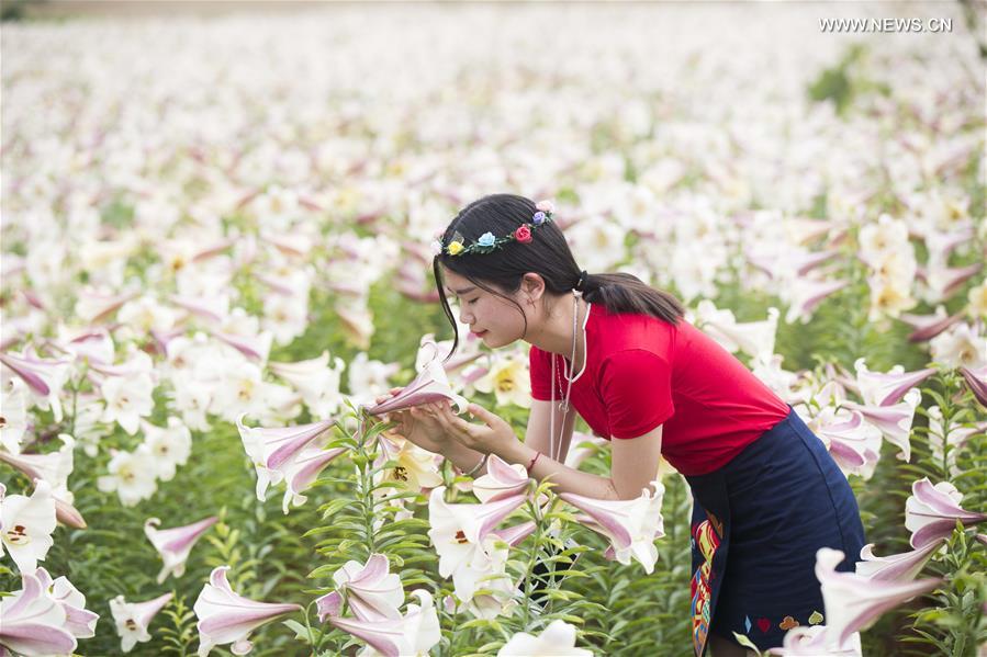 Tourists view lily flowers in East China's Jiujiang