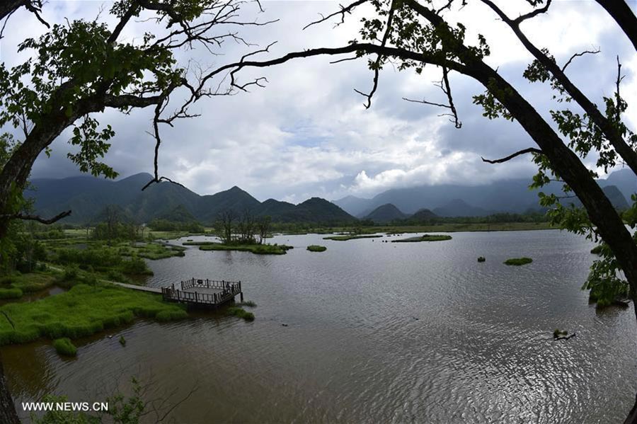 Scenery of Dajiu Lake in Shennongjia, Central China's Hubei