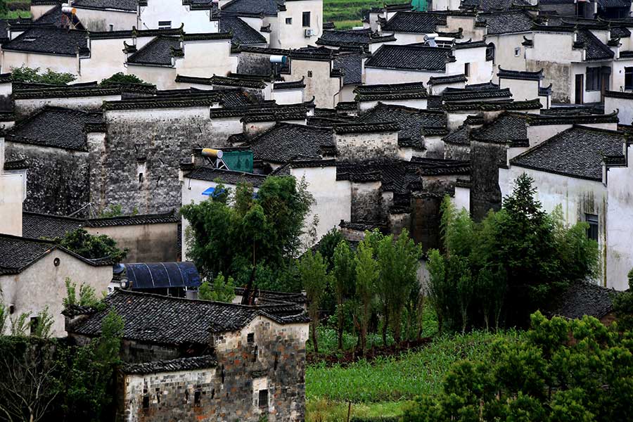 Summer scene at Hongcun village in Anhui province