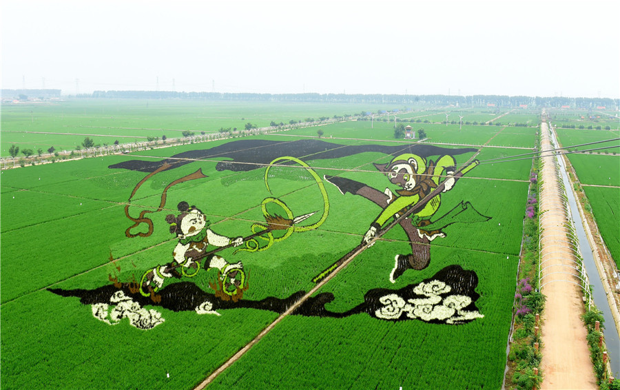 A summer treat: More amazing rice paddy art